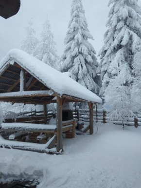 Marand Log Cabin